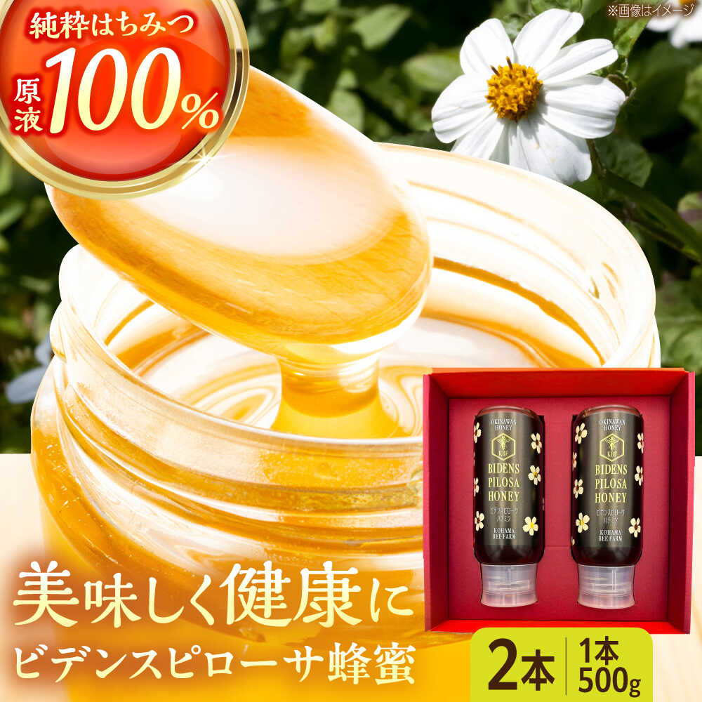 【ふるさと納税】コハマのハチミツ ビデンスピローサ蜂蜜 500g×2本 蜂蜜 はちみつ ハチミツ 国産 ギフト 父の日 沖縄市 / 農業生産法人株式会社小浜養蜂場 [BCAQ003]