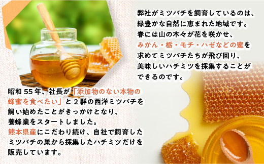 純粋ハチミツ山野蜜　AN05