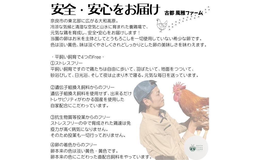 定期便 ６ヶ月 美味しい 平飼い 飛鳥の卵 ４０個 冷蔵 月１回 ／ 古都 風雅 ファーム たまご 玉子 鶏 卵 取り寄せ 新鮮 生食 安心 安全 健康卵 飛鳥 オーガニック 非遺伝子組み換え 奈良県