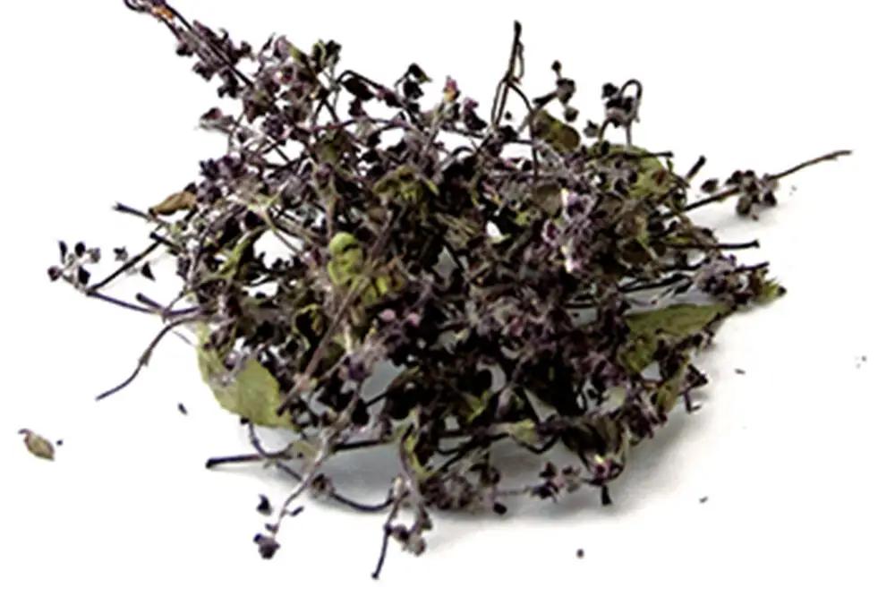 ホーリーバジルティー 20g×1袋 ノンカフェイン