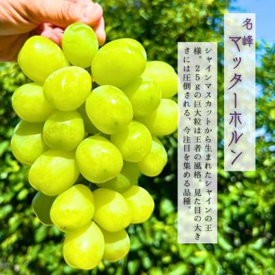 ふるさと納税 岸和田市 極上「名峰」マッターホルン大粒大房ぶどうと 竹籠入り!極上「名泉」泉州水なすぬか漬け2個計1.5kg |  | 01