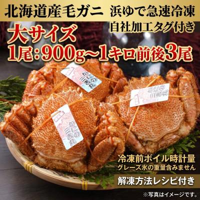 ふるさと納税 白老町 k0403【浜ゆで自社タグ付】北海道産ボイル毛ガニ 900g〜1000g前後×3尾