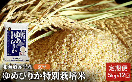 ゆめぴりか玄米特別栽培米 北海道産 ゆめぴりか【5kg】【定期便12回】