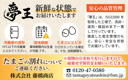 【夢王】 濃厚卵 たまごかけご飯に最適 兵庫県産 ブランド卵 20個入り（10個×2パック）/　たまご
