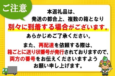 ファンタ グレープ PET 1.5L (2ケース) 計12本【コカコーラ グレープ ファンタ 炭酸飲料 炭酸 果汁飲料 1.5リットル ペットボトル ペット イベント 子供に人気】K090149