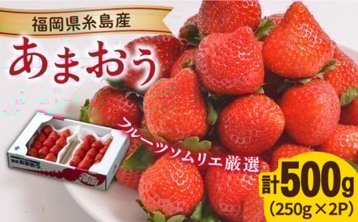 【先行予約】糸島産【冬】 あまおう 2パック 【2025年12月上旬以降順次発送】 《糸島》【南国フルーツ株式会社】 [AIK007]