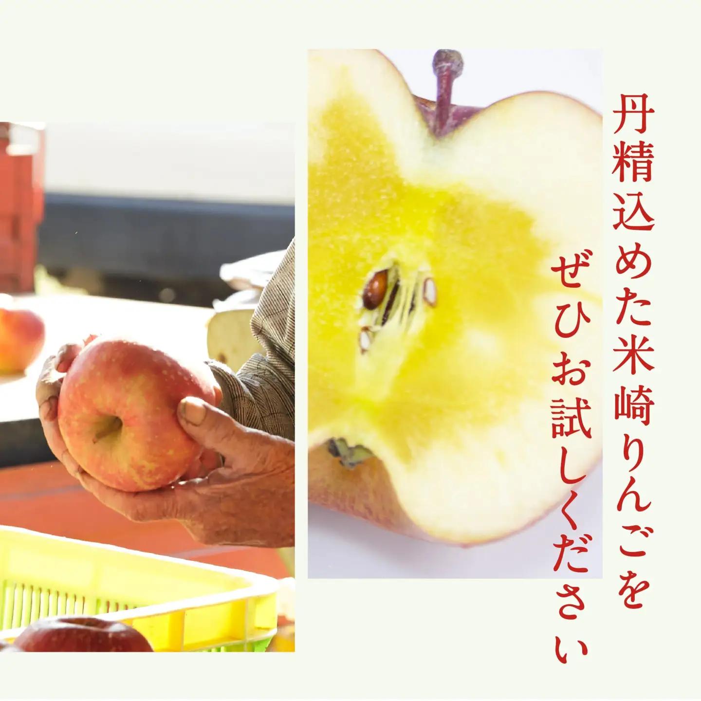米崎りんご 品種おまかせ 3kg りんご 9月頃から発送予定