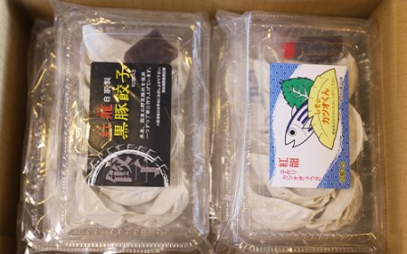 カツオ餃子・黒豚餃子食べ比べセット(紅龍/010-392) かつお ぎょうざ 冷凍 ギョウザ 餃子鍋 点心 飲茶