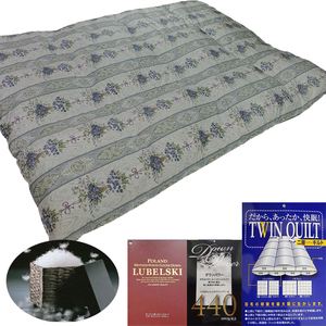 羽毛布団【ポーランド産マザーグース９３％】シングル１５０×２１０ｃｍ二層式ＳＢ【ダウンパワー４４０】羽毛掛け布団