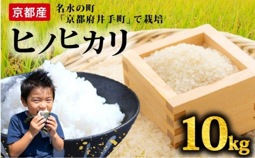 【先行受付】ヒノヒカリ 10kg 令和7年産 精米 白米  お米 米 こめ ご飯 おにぎり 弁当 産地直送 国産 京都産 井手町
