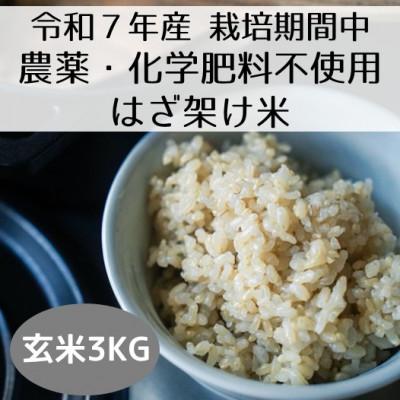 ふるさと納税 十日町市 【令和7年産・先行受付】新潟県魚沼産コシヒカリ「山清水米」はざ架け米(玄米)3kg