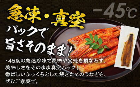 一番うなぎ蒲焼 超特大4尾 国産 うなぎ