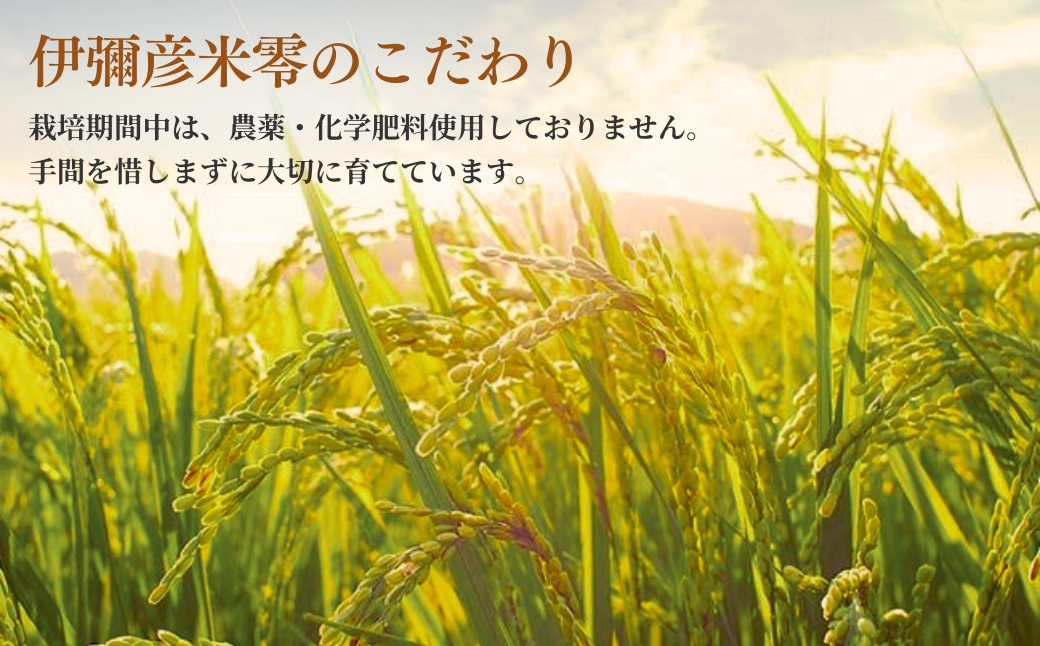 ＜伊彌彦米零玄米パックごはん＞皇室献上米 150g入り×12パック | 新潟県 弥彦村