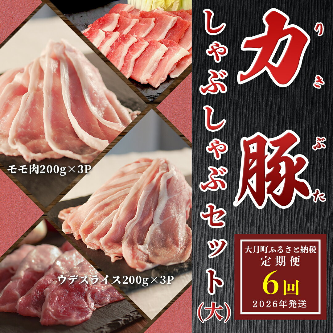 【ふるさと納税】【定期便 6回】ブランド豚 力豚しゃぶしゃぶセット(大)