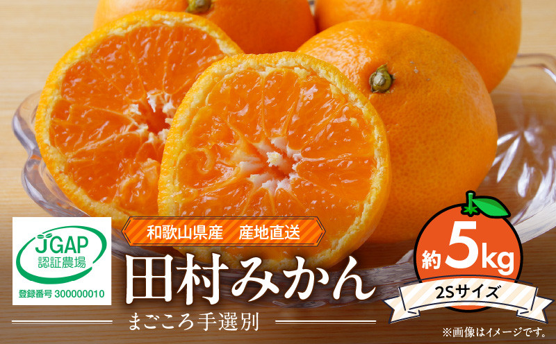 
                  和歌山 湯浅町産 田村みかん 約5kg【2Sサイズ】  ※着日指定不可_ZE6486
                