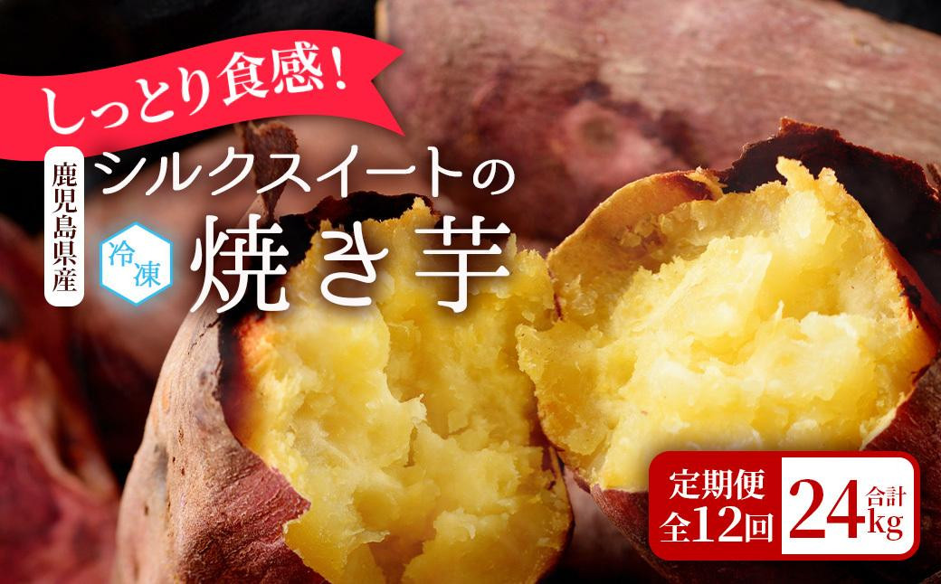 
【定期便全12回】しっとり食感！シルクスイートの焼き芋2kg
