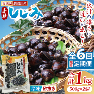 【全6回隔月定期便】茨城県涸沼川産 だしの濃さに違いが出る！手掘しじみ（砂抜き）500g×２個（1kg）【涸沼川 シジミ オルニチン 味噌汁 スープ 茨城県 水戸市】（MS-11）