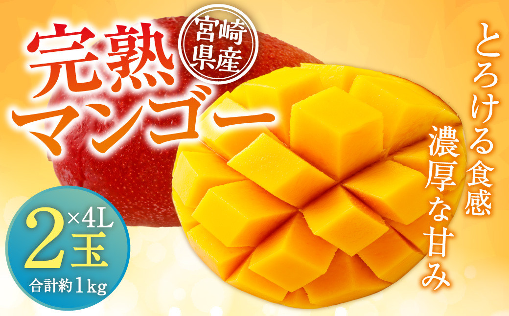 【7月22日まで】＜宮崎県産 完熟マンゴー 4L×2玉(合計 約1kg)＞ マンゴー 果物 くだもの フルーツ 完熟 南国