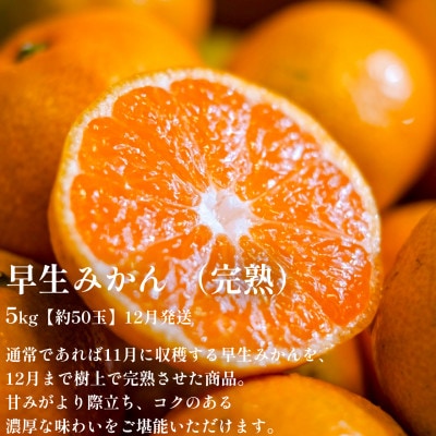 【発送月固定定期便】「時期による味の違いを楽しむ」愛媛みかんの旬を食べ比べ【F70−81】全2回【4067806】