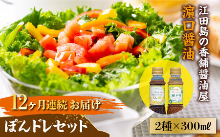 【全12回】醤油 ぽんドレセット 300mL×2種 濱口醤油[XAA031]