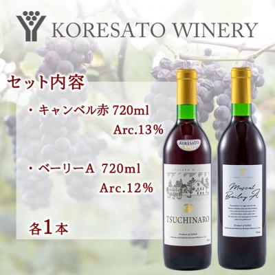 ふるさと納税 赤磐市 是里 ワイン 果実酒 キャンベル赤 ベーリーA 720ml 各1本[NO5765-1258] |  | 01