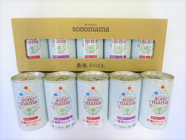 「sonomama」ミックス（160g×10本） りんごジュース 赤ぶどうジュース  ジュース 飲料 