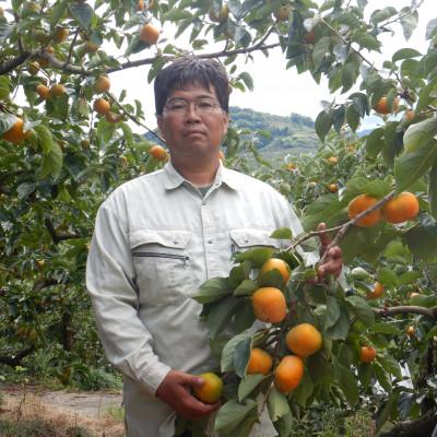 ふるさと納税 橋本市 秋の味覚 「たねなし柿」 10〜12玉入り |  | 03