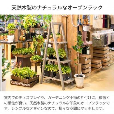 ふるさと納税 海南市 ツリーシェルフ　57755200 |  | 02