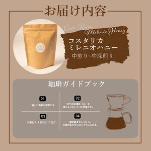 【 自家焙煎 珈琲 】 コーヒー 豆 200g コーヒー