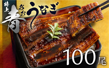 最高級 特上 幻の青うなぎ 100尾 うなぎ