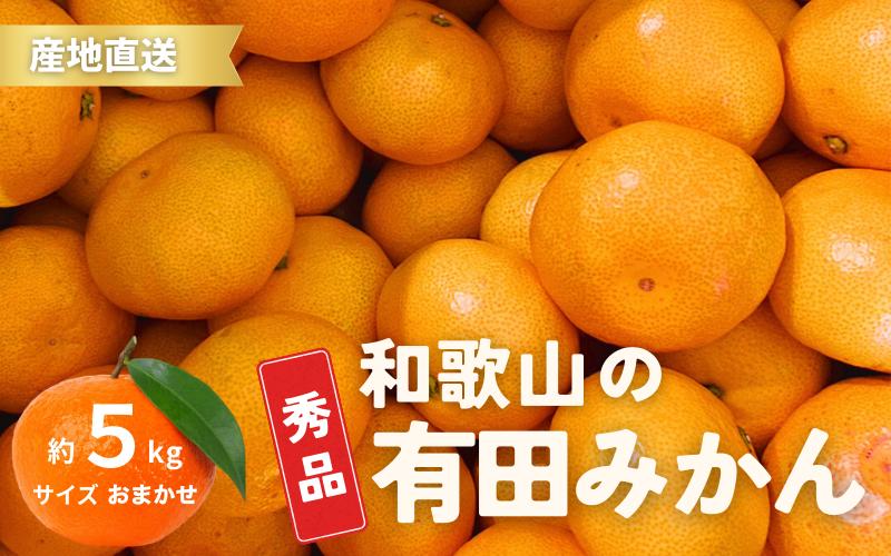 
＼配送月が選べる！／ 秀品 有田みかん 和歌山県産 S～Lサイズ 大きさお任せ 5kg / みかん フルーツ 果物 くだもの 有田みかん 蜜柑 柑橘【ktn002-cho】
