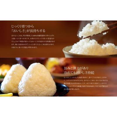 ふるさと納税 与謝野町 令和7年米　京都与謝野町産コシヒカリ「京の豆っこ米」玄米10kg×1袋　【誠武農園】 農家直送 |  | 01