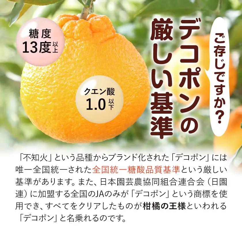 デコポン 3㎏ 日本フルーツ株式会社 デコポン