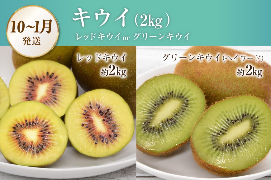 CG083 フルーツ 定期便 全4回 厳選！島原の人気フルーツ定期便 [ 旬 果物 詰め合わせ 食べ比べ セット いちご メロン すいか キウイ 長崎県 島原市 ]