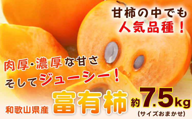 【先行予約】甘柿の王様 和歌山産 富有柿 約 7.5kg サイズおまかせ 厳選館 《2025年11月上旬-12月下旬頃出荷》 和歌山県 日高川町 柿 カキ かき ジューシー フルーツ(F)