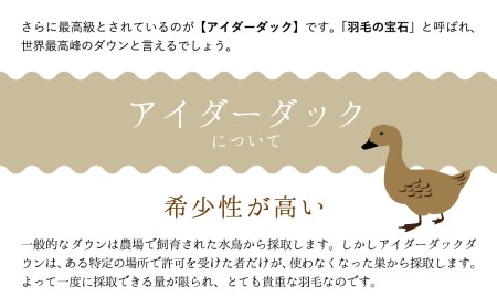 羽毛布団【シングル】アイルランド産アイダーダックダウン300g　高級生地使用【S-46】