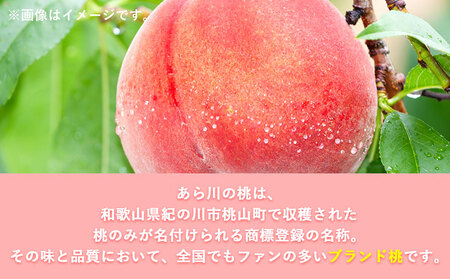 あら川の桃 秀品 約4kg(10玉～16玉)