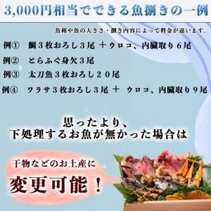 岬だより 釣ったお魚プロが代わりに下処理します 魚捌き券(3000円相当)