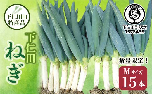 
            下仁田町特産「下仁田ねぎ」Mサイズ 15本 小箱 とろける 甘い ねぎ ネギ 王様ねぎ 特産 栄養たっぷり ブランド 上州ねぎ すきやき F21K-579
          