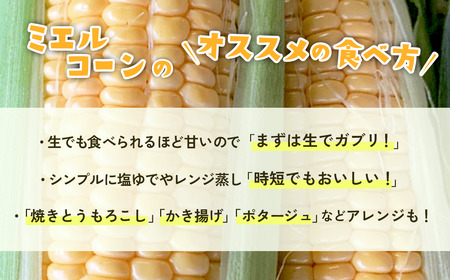 【 訳あり 】下妻産 朝採り とうもろこし （ ミエルコーン ） 約6kg 【 とうもろこし とうきび トウモロコシ ジューシー 甘い 蜂蜜 はちみつ ミエル Miel スイーツ デザート ミエルコー