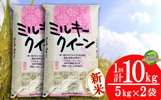 【栃木県共通返礼品】【先行予約】ミルキークイーン 10kg（5kg×2袋） | 米 こめ コメ kome 白米 精米 お米 みるきー みるきーくいーん ﾐﾙｷｰｸｲｰﾝ Milky queen ミルキークウィーン もちもち モチモチ ふっくら もち米風 炊き込み 新米 栃木米 令和7年度米 令和7年度 2025年度米 2025年度 ブランド米 栃木県 特産品 送料無料 栃木県 下野市 しもつけ市