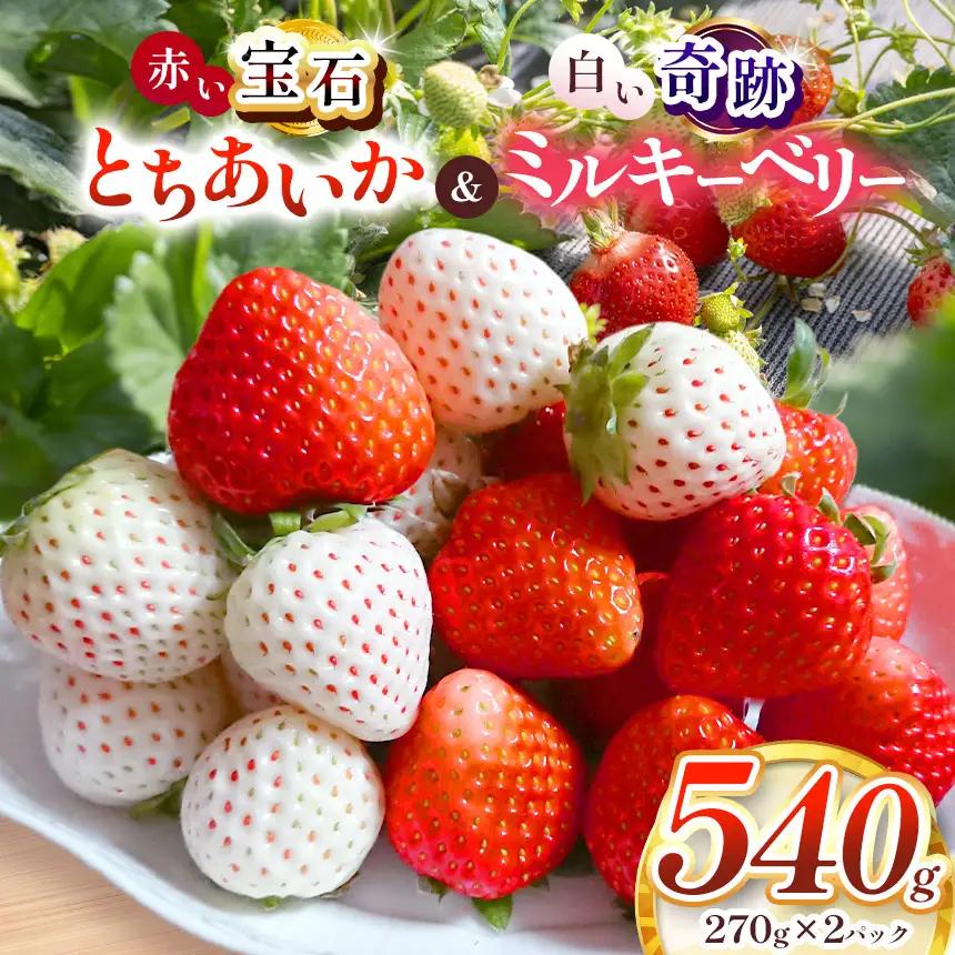 【2027年先行予約】真岡市産 赤い宝石「とちあいか」・白い奇跡「ミルキーベリー」セット 540g（CN)