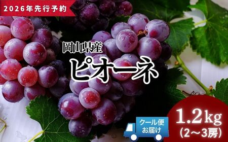 ＜2026年発送分 先行予約＞ピオーネ 1.2kg以上（2?3房）025-a022