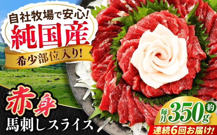 
                  【全6回定期便】『純国産』熊本の味 赤身 馬刺し スライス セット 約350g / 熊本 馬刺し ばさし バサシ 馬刺 馬さし 馬肉 赤身 スライス ヘルシー 【有限会社 九州食肉産業】 [AYCN100]
                