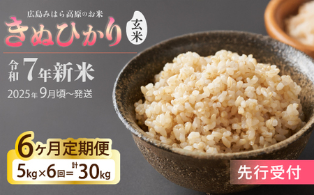 令和7年新米＜先行受付＞【6か月定期便】きぬひかり 玄米5kg [2025年9月下旬頃～発送] お米 米 精米 ごはん ご飯 広島県 三原市 220022