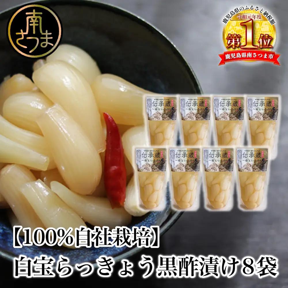 【鹿児島県産】〈プレミアム〉伝承蔵～白宝らっきょう黒酢漬け～（90g×8P）  らっきょう 漬物