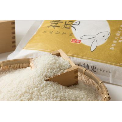 ふるさと納税 八頭町 【令和7年産米】特別栽培米コシヒカリ「神兎」20kg |  | 02