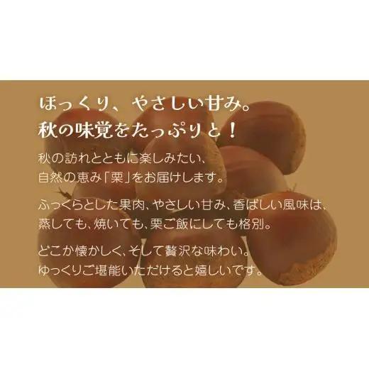 秋の味覚「 栗 」5kg【2026年9月上旬発送開始】(茨城県共通返礼品：大子町)
