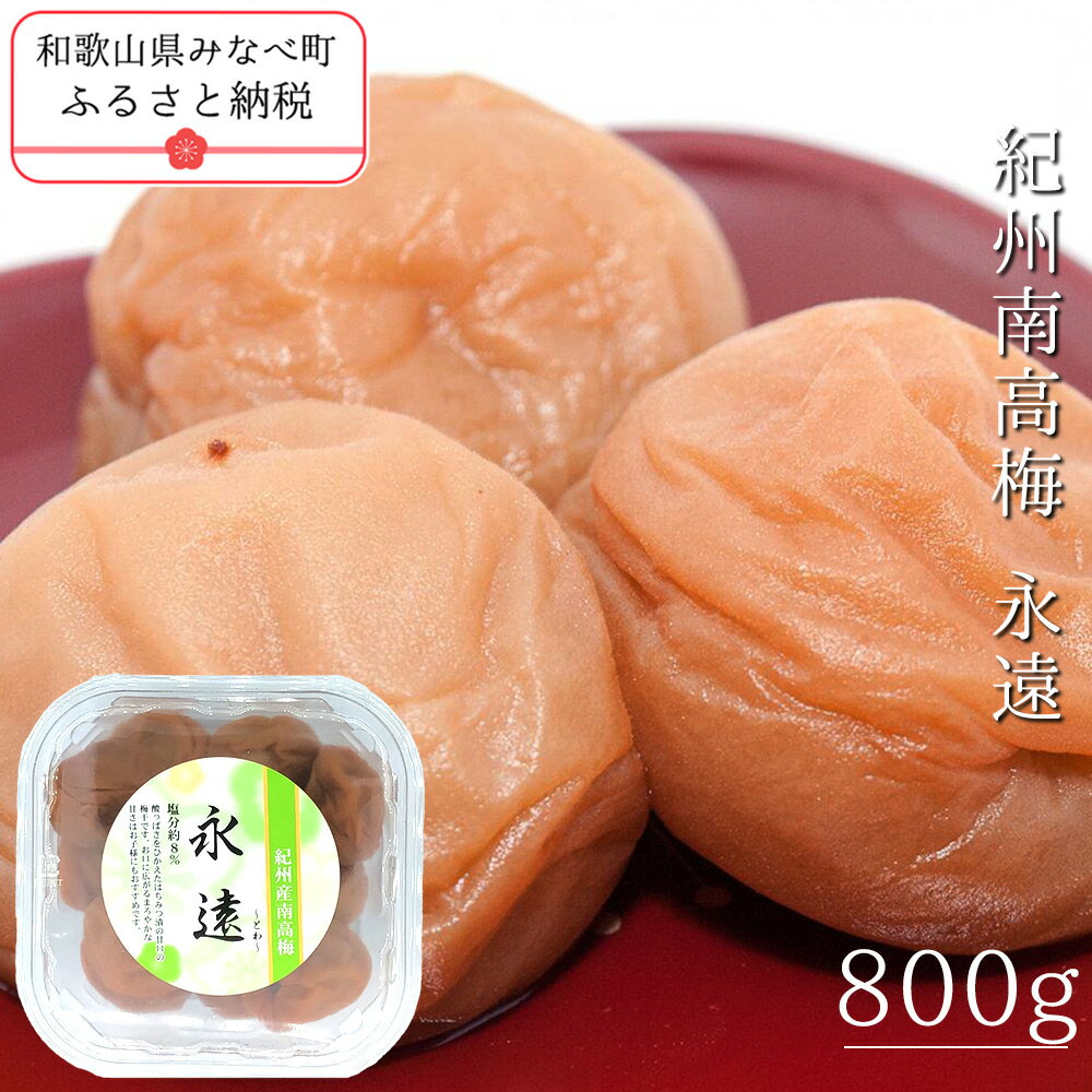 【ふるさと納税】紀州南高梅永遠 800g | 《日本一の梅の産地》 《百年の伝統》 紀州 紀州梅干 和歌山 みなべ町 梅 ウメ うめ 梅干 梅干し 塩分控えめ 塩分 ハチミツ はちみつ梅 甘口