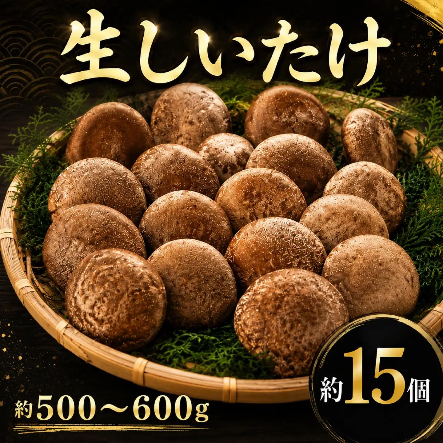 生椎茸 約 500g ～ 600g 約 15個 椎茸